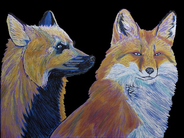 Night and Day by 
Sean Behnsen