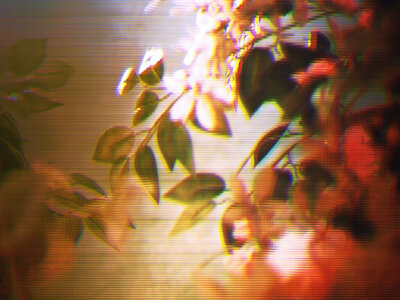 the absence of the origin of its likeness: Laura Dutton, Arnold Koroshegyi @ Open Space Nov 4 2016 - Jun 26th @ Open Space