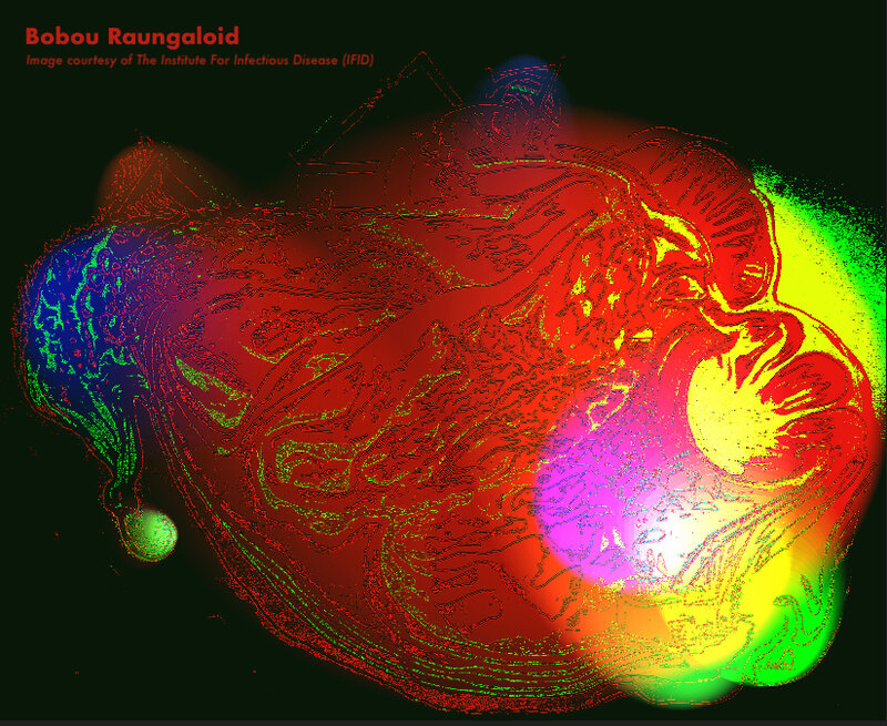 The Bobou Raungaloid parasite: Dave Biddle @ The Ministry of Casual Living Mar 14 2020 - Jul 14th @ The Ministry of Casual Living