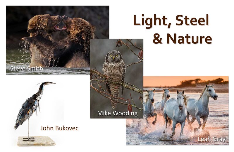 Light, Steel and Nature: Leah Gray, Steve Smith, Mike Wooding, John Bukovec @ ArtSea Gallery Aug 21 2021 - May 1st @ ArtSea Gallery