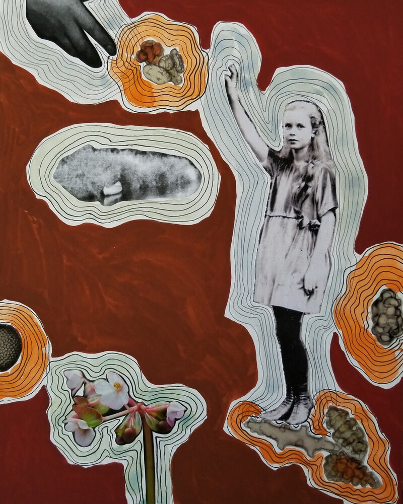 My Mother&rsquo;s House: Clare Thomas @ Xchanges Gallery Mar 3 2018 - May 6th @ Xchanges Gallery