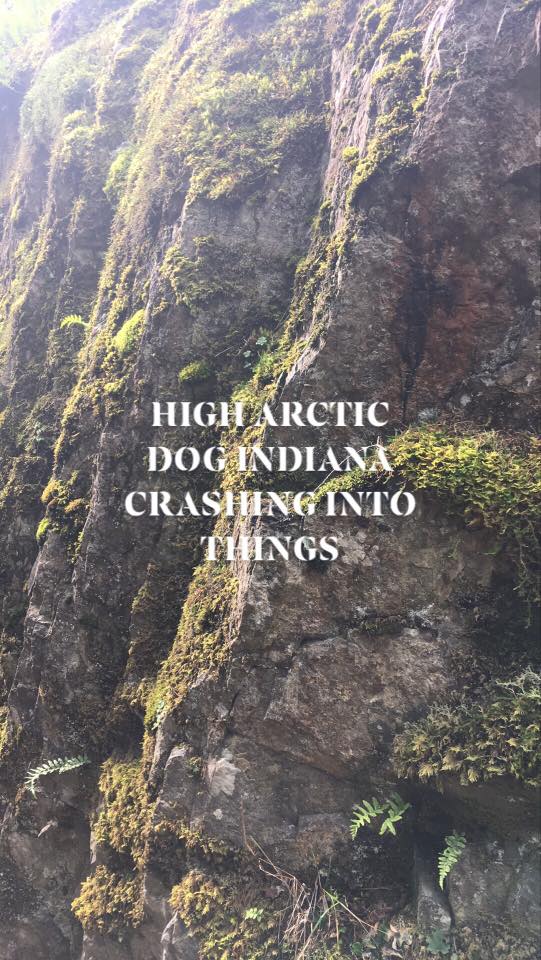 The High Arctic , The Dog Indiana , Crashing Into Things @ Logan's Pub Nov 1 2019 - May 9th @ Logan's Pub
