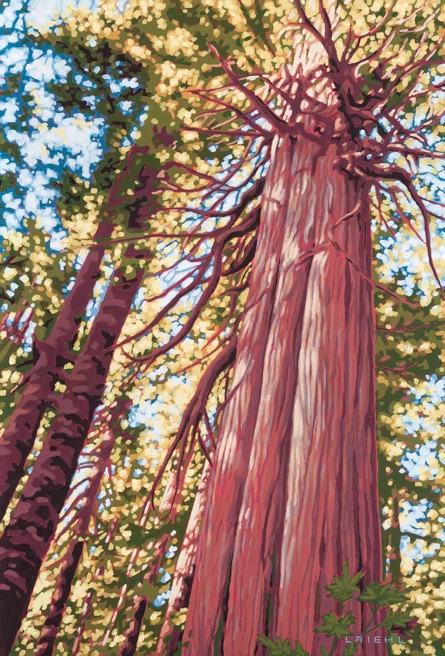 Art Exhibition for Lisa Riehl: Lisa Riehl @ Fairfield Gonzales Community Association Jan 10 2016 - May 5th @ Fairfield Gonzales Community Association