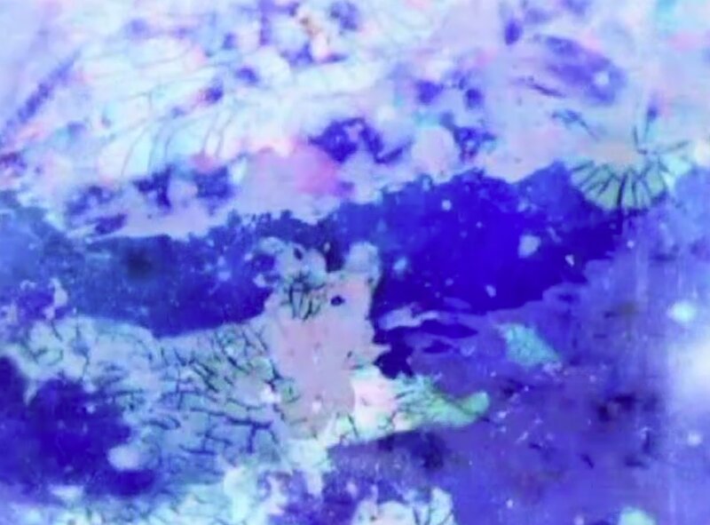 Artist Talk with: Scott Amos @ Flux Media Gallery Jan 17 2015 - May 17th @ Flux Media Gallery
