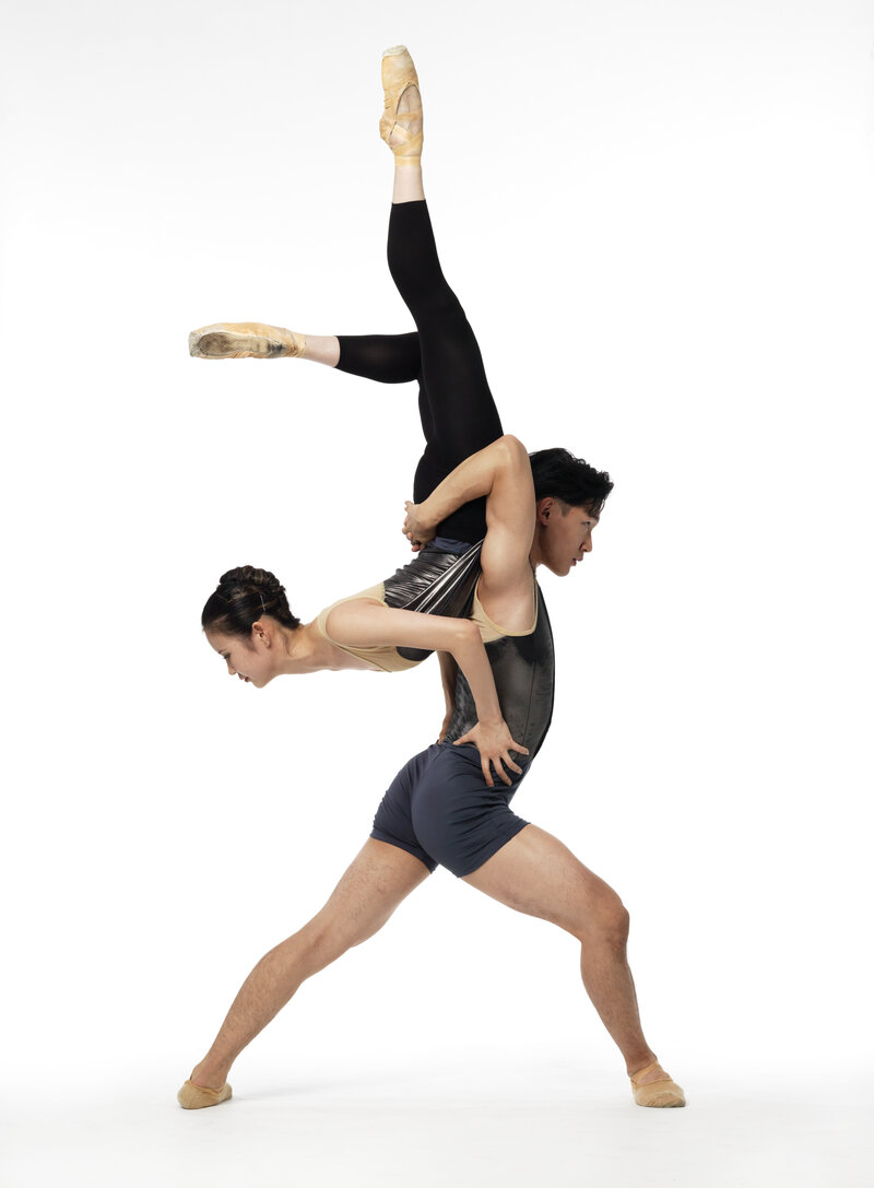 Take Flight: Victoria Academy of Ballet, Lamondance  (Vancouver) @ Dave Dunnet Theatre  Apr 8 2017 - Jun 4th @ Dave Dunnet Theatre 