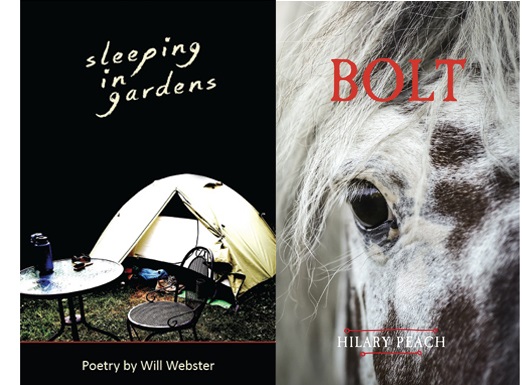Planet Earth Poetry: Will Webster, Hilary Peach @ Hillside Coffee and Tea Jan 11 2019 - May 8th @ Hillside Coffee and Tea