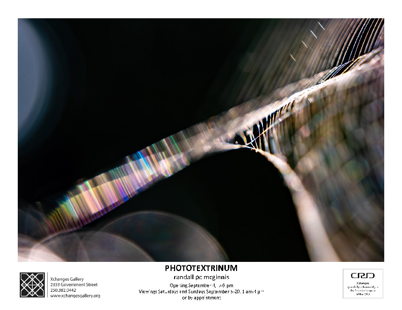 Phototextrinum:Weaving Light, Coaxing Death: Randall McGinnis  @ Xchanges Gallery Sep 19 2020 - Jun 20th @ Xchanges Gallery