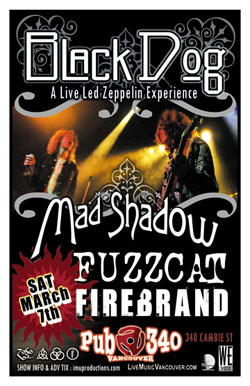 BLACK DOG Led Zeppelin Tribute & MAD SHADOW Tour Kick Off Party: BLACK DOG, Mad Shadow, Fuzzcat, Firebrand @ Pub 340 Mar 7 2009 - May 6th @ Pub 340