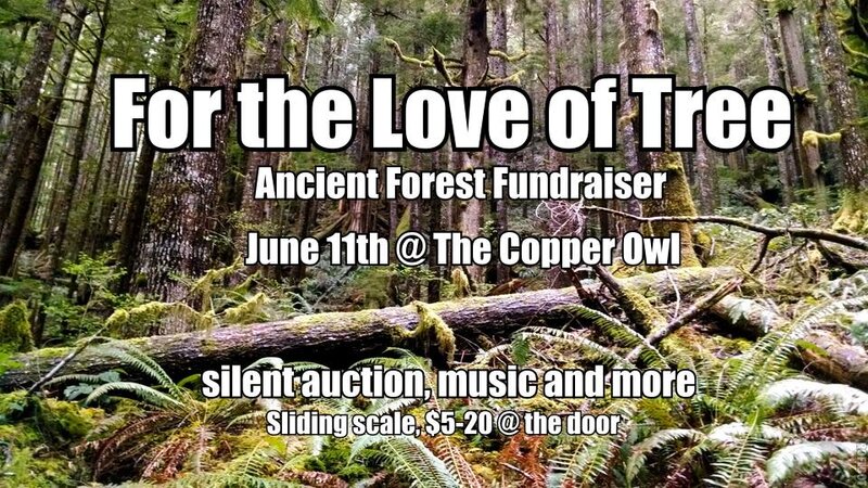 For The Love of Tree: Shauna Janz, Custom Trip, San Felix, Funk DNA @ Copper Owl Jun 11 2014 - May 7th @ Copper Owl