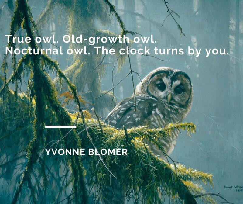 Raven, Mouse, A Bird's Beak - Public Exhibit Opening: Yvonne Blomer , Robert Bateman @ The Robert Bateman Centre Oct 4 2018 - May 1st @ The Robert Bateman Centre