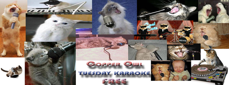 KARAOKE TUESDAY!!!: Karaoke @ Copper Owl Jul 2 2013 - May 12th @ Copper Owl