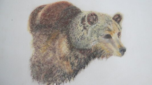 Grizzly Bear by 
Donna Birtwistle