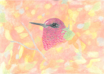 AnnaMale Hummer by 
Donna Birtwistle