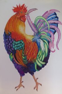Rooster by 
Donna Birtwistle