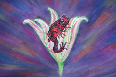 Frog by 
Donna Birtwistle