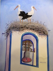 Portuguese Cranes by 
Donna Birtwistle