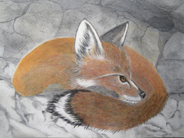 Red Fox Cave by 
Donna Birtwistle