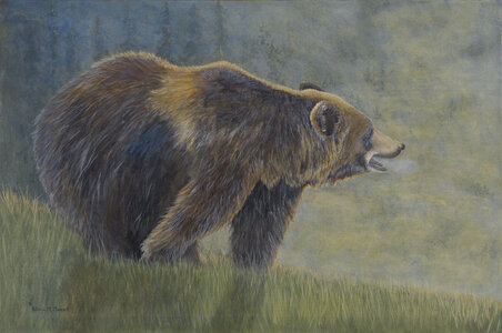 Mountain Man (Grizzly) by 
Patricia Mansell