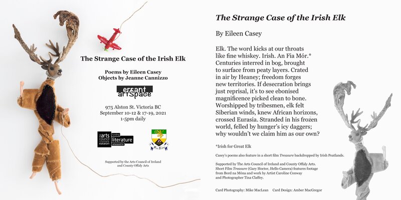 The Strange of The Irish Elk: Eileen Casey, Jeanne Cannizzo @ Errant ArtSpace Sep 19 2021 - May 7th @ Errant ArtSpace