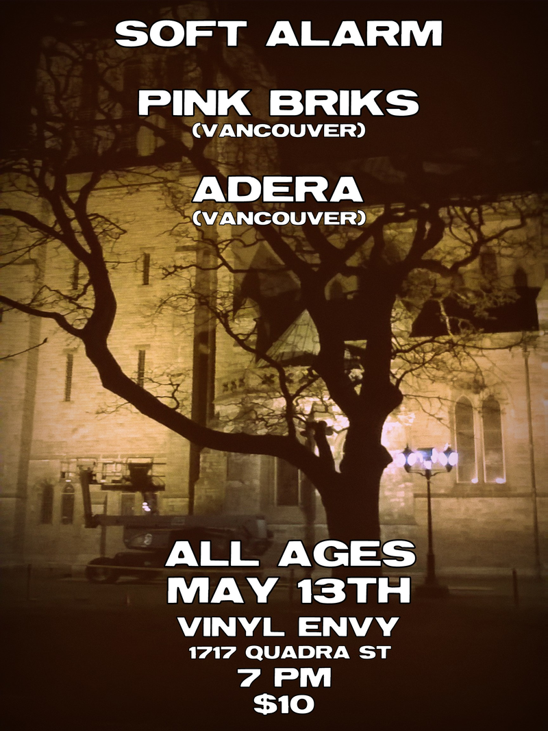 Soft Alarm, Adera, Pink Briks @ Vinyl Envy May 13 2017 - Jun 6th @ Vinyl Envy