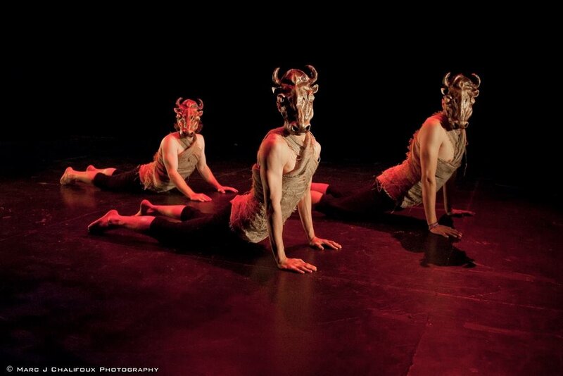 A Conversation about Indigenous Contemporary Dance led by Troy Emery Twigg: Troy Emery Twigg @ Open Space Jan 20 2018 - Jun 6th @ Open Space