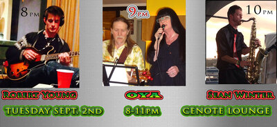 OYA and Friends: OYA, Robert Young Duo, Sean Winter Duo @ Cenote Sep 2 2014 - May 13th @ Cenote
