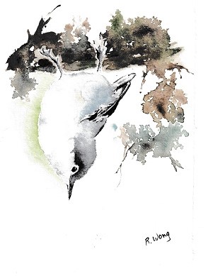 Let's Paint "Nuthatch" - Online: Richard Wong @ Online Oct 17 2020 - Jun 6th @ Online
