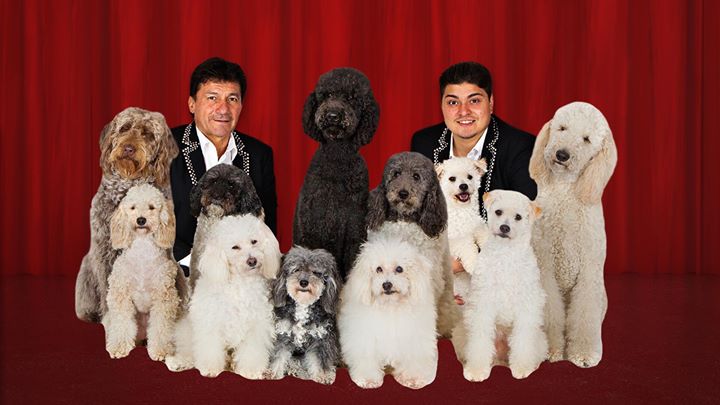 The Olate Dogs @ The Farquhar at UVic Apr 8 2018 - Jul 12th @ The Farquhar at UVic