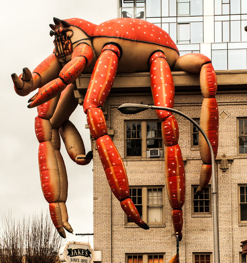 From the Streets: Don Webb @ new photographers GALLERY Sep 14 2020 - Jun 13th @ new photographers GALLERY