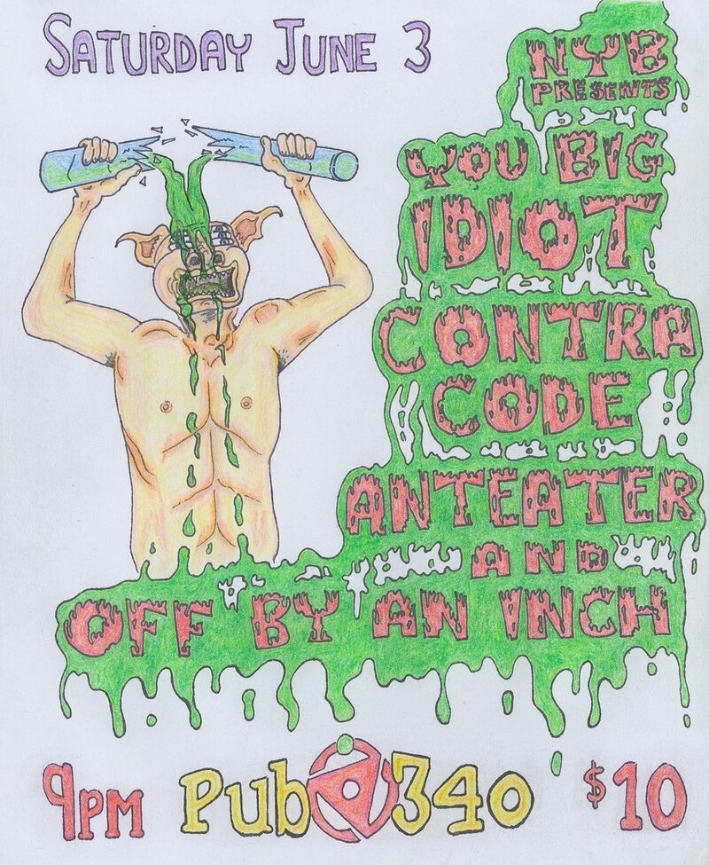 You Big Idiot, Contra Code, Anteater, OFF BY AN INCH @ Pub 340 Jun 3 2017 - May 6th @ Pub 340