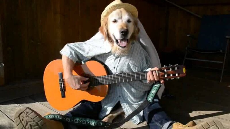 Jam Night @ My Bar and Grill Dec 16 2015 - Jun 8th @ My Bar and Grill