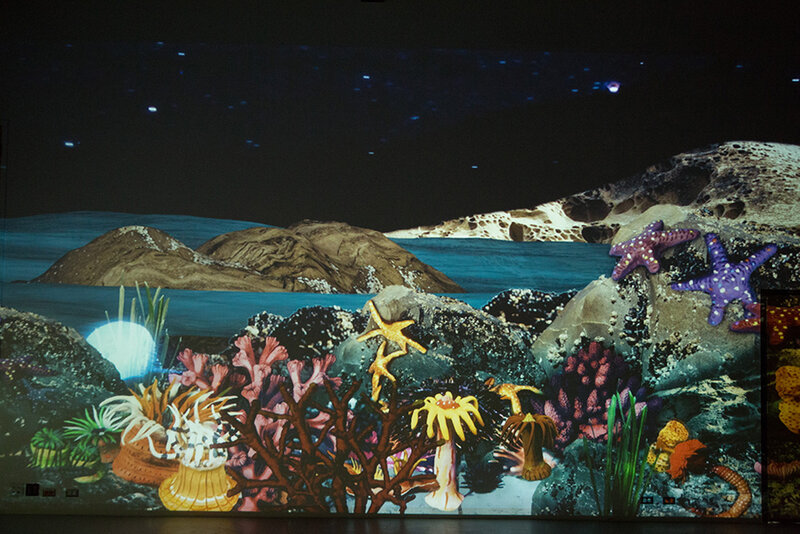 Intertidal Zone: Allison Moore @ Flux Media Gallery Sep 12 2018 - Jul 14th @ Flux Media Gallery
