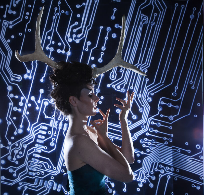 Elizabeth Shepherd @ Hermann's Jazz Club Nov 27 2015 - May 7th @ Hermann's Jazz Club