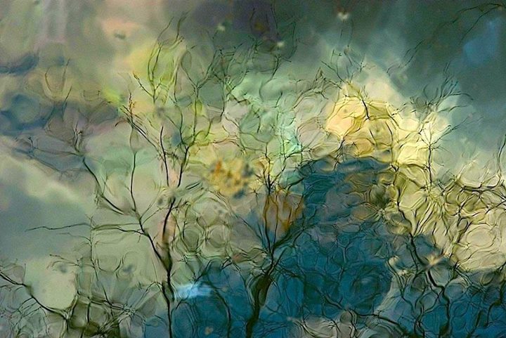 Landscapes of Consciousness - The Gift of Change:  Courtney Milne (Images), Ann Mortifee (Music) @ The Robert Bateman Centre Feb 11 2017 - Jul 7th @ The Robert Bateman Centre