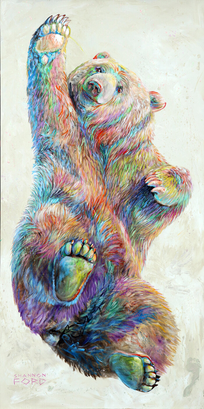 Grizzly Bears: Teachers of the Land - Soft Opening @ Bateman Gallery Oct 3 2020 - Jun 14th @ Bateman Gallery