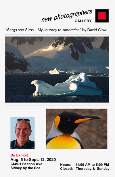 Bergs and Birds - My Journey to Antarctica: David Clow @ new photographers GALLERY Sep 8 2020 - Jun 7th @ new photographers GALLERY