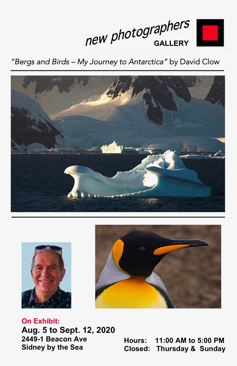 Bergs and Birds - My Journey to Antarctica: David Clow @ new photographers GALLERY Aug 21 2020 - Jun 13th @ new photographers GALLERY