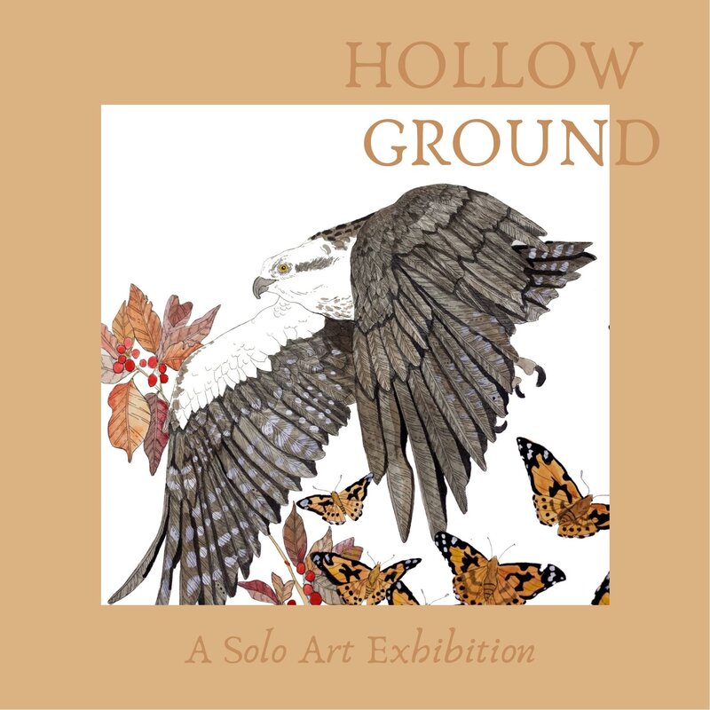 HOLLOW GROUND- Solo Exhibition - May 22nd @ ECAH