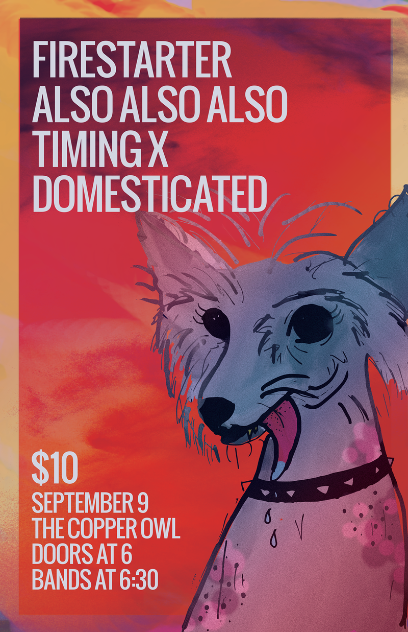Firestarter, Also Also Also, Timing X, DOMESTICATED @ Copper Owl Sep 9 2017 - Jun 6th @ Copper Owl
