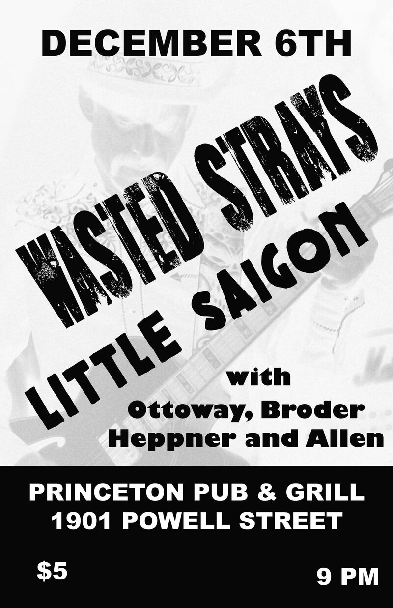 Ottaway, Broder, Heppner & Allen, Little Saigon, Wasted Strays @ Princeton Pub Dec 6 2013 - Apr 30th @ Princeton Pub