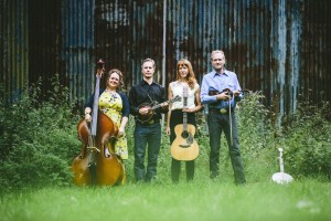 Foghorn Stringband @ Hermann's Jazz Club Dec 4 2016 - Jun 4th @ Hermann's Jazz Club