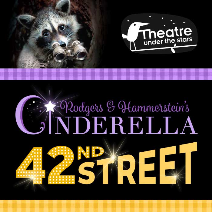 Rodgers & Hammerstein&rsquo;s Cinderella and 42nd Street: Performers TBA @ Malkin Bowl (Stanley Park) Jul 4 2018 - May 6th @ Malkin Bowl (Stanley Park)