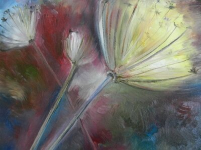 Untitled by 
Charlotte Haggart