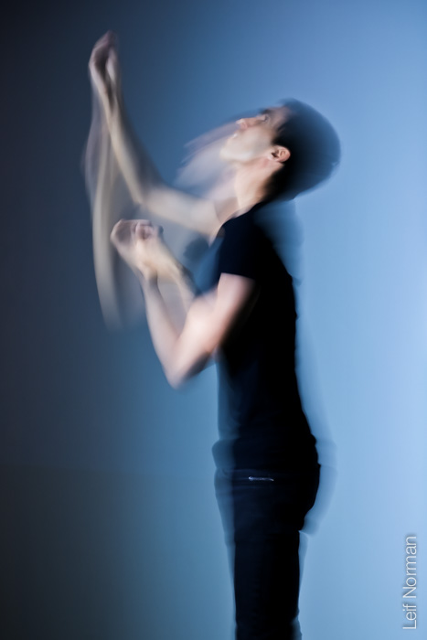 Anthropologies Imaginaires: Gabriel Dharmoo  @ Fox Cabaret Feb 1 2016 - May 7th @ Fox Cabaret