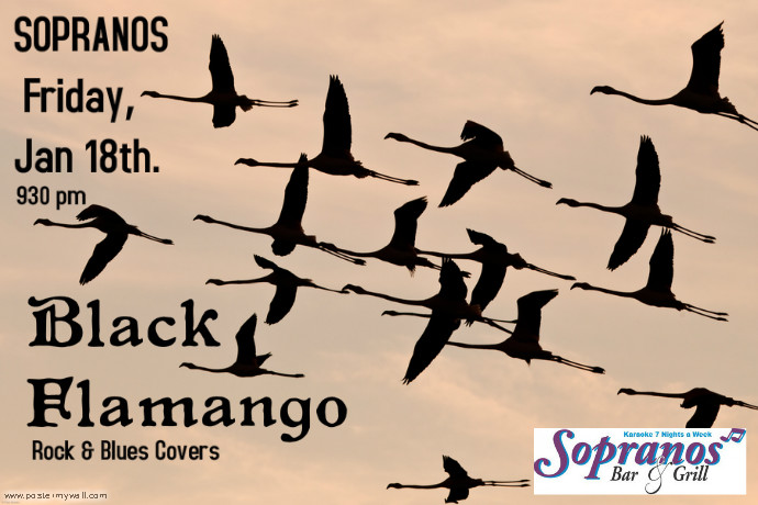 BLACK FLAMANGO @ Soprano's Jan 18 2013 - May 8th @ Soprano's