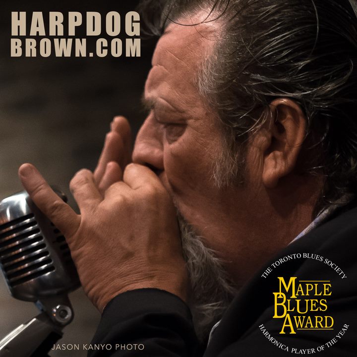 Harpdog Brown @ Blue Frog Studios Nov 24 2017 - May 23rd @ Blue Frog Studios