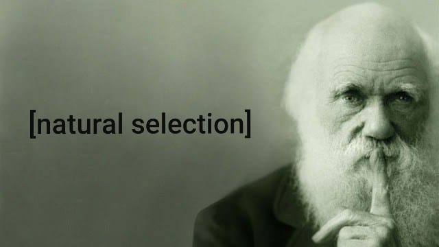 Natural Selection: Richie Digs @ Copper Owl Sep 12 2019 - Jun 10th @ Copper Owl