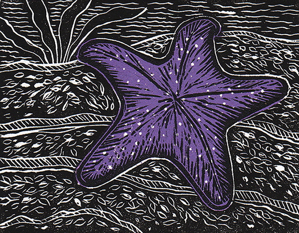 Printmakers Only Group @ The Gallery at the Cowichan Performing Arts Centre Nov 1 2017 - May 8th @ The Gallery at the Cowichan Performing Arts Centre