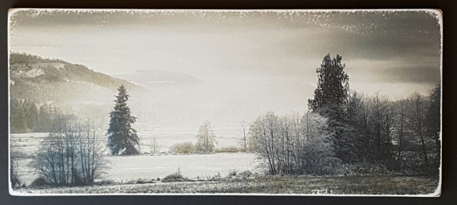 Untitled by 
Nathalie Mansey