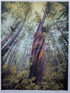 Untitled by 
Nathalie Mansey